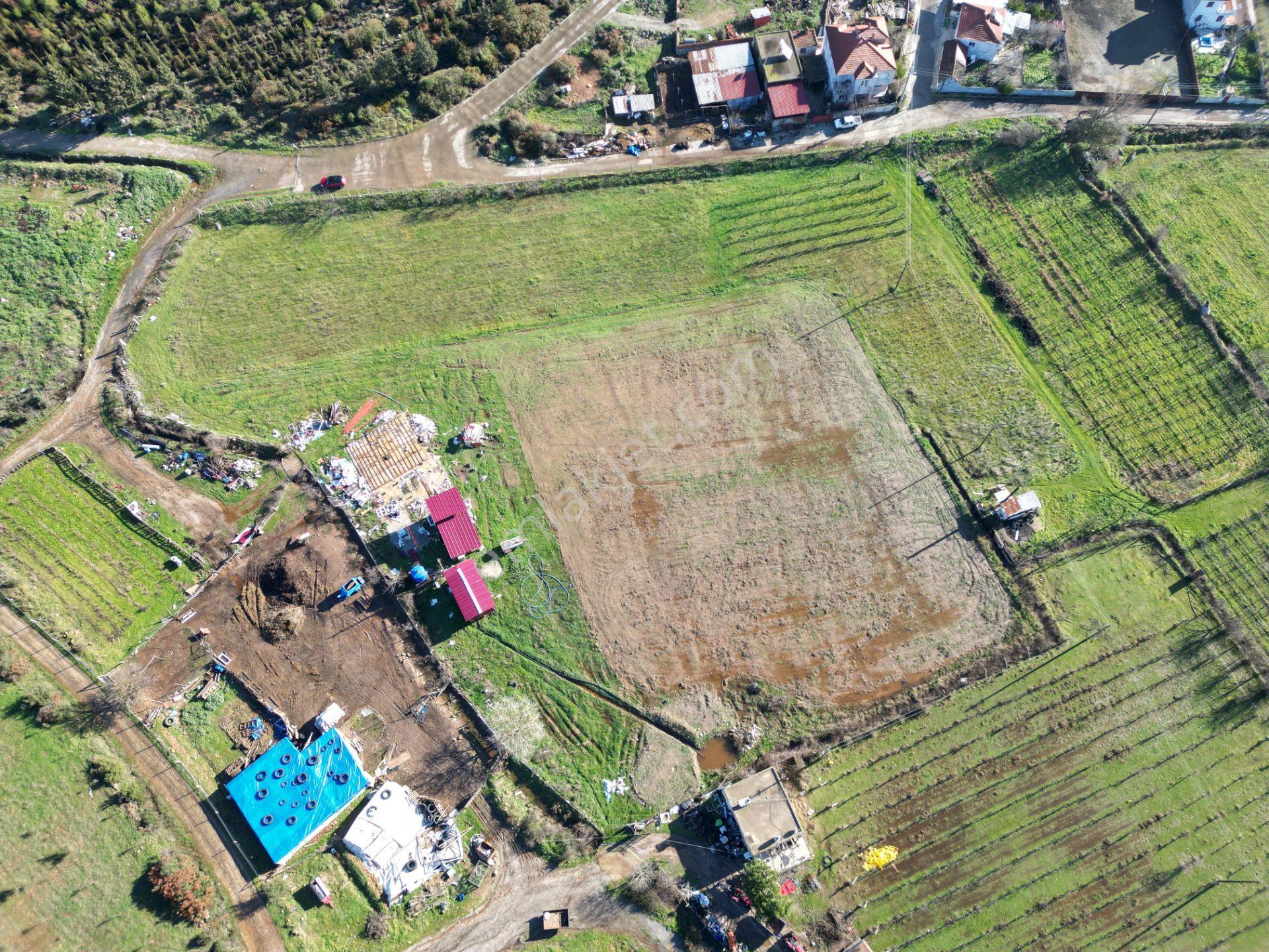Kuşadası Gökçealan'da Müstakıl Tapulu 6.241 M² Satılık Tarla - Görsel 7