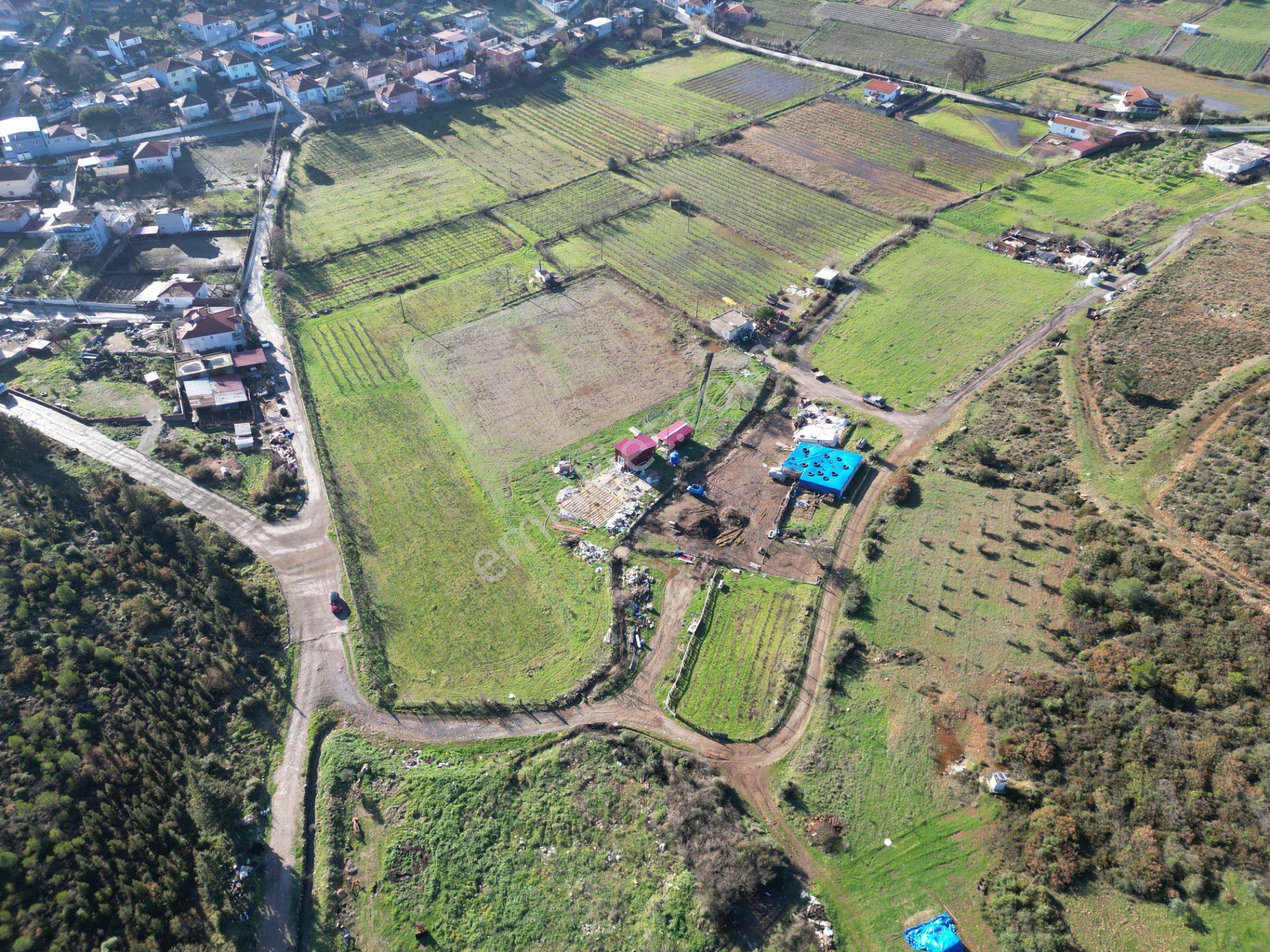 Kuşadası Gökçealan'da Müstakıl Tapulu 6.241 M² Satılık Tarla - Görsel 5