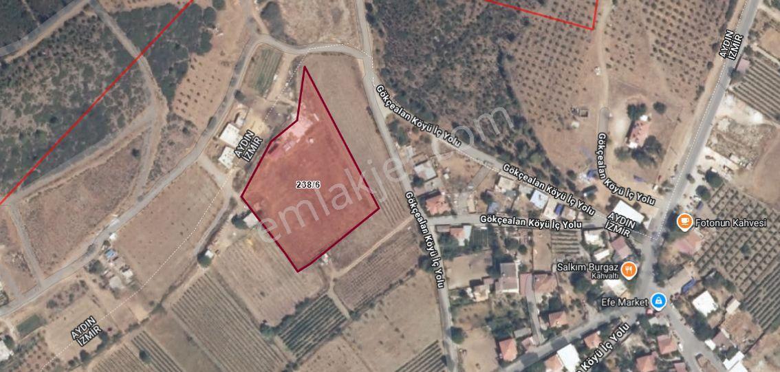 Kuşadası Gökçealan'da Müstakıl Tapulu 6.241 M² Satılık Tarla - Görsel 8