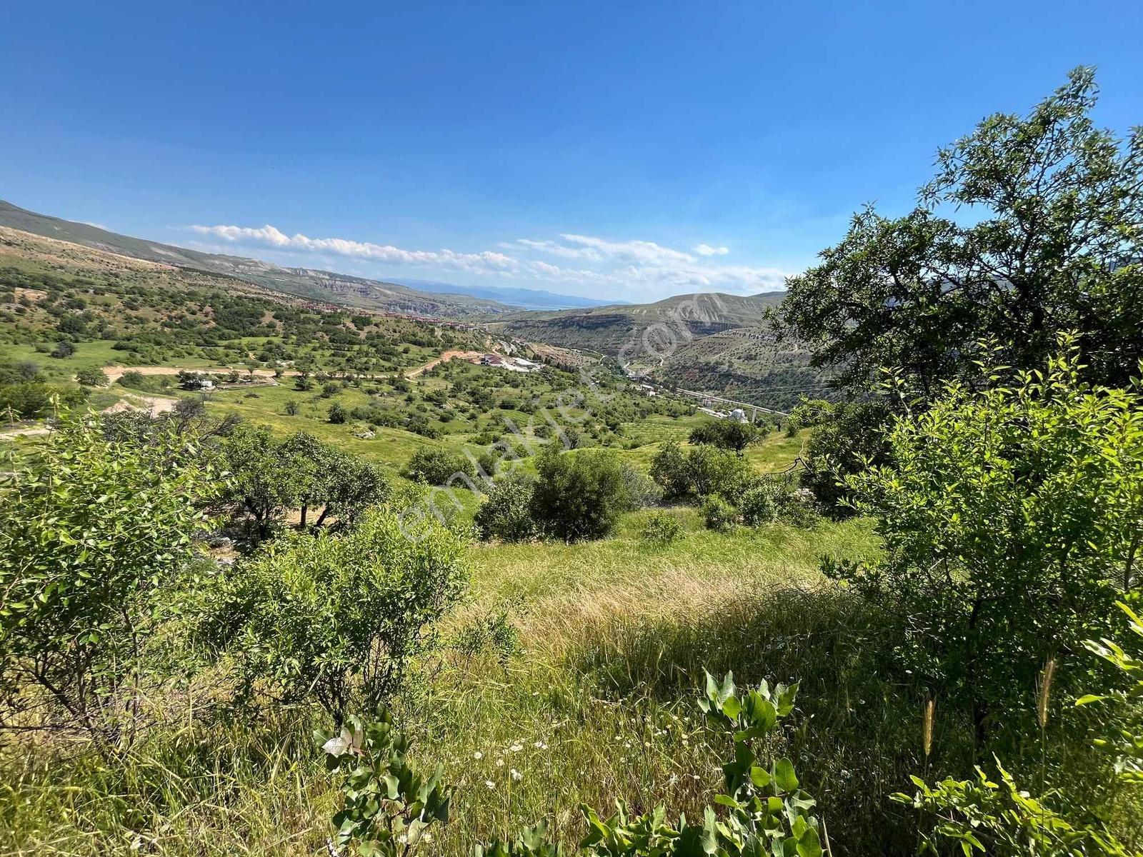 Tunceli Çemişgezek İlçesinde Göl Manzaralı Şokkk Fiyatttt - Görsel 6