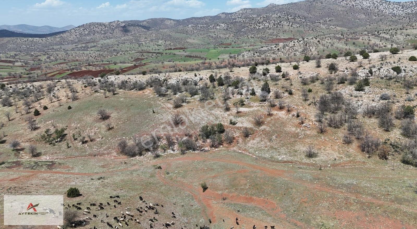 Güneysınır / Kızılöz Mahallesinde 1.328 M² Müstakil Tapulu Tarla - Görsel 12