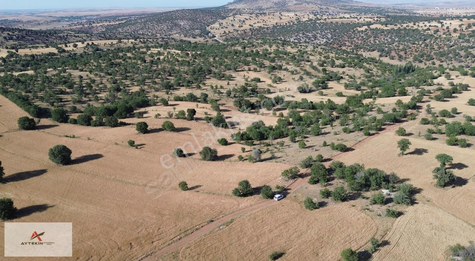 Güneysınır Kurukavak Mahallesinde 1.226 M² Müstakil Tapulu Tarla - Görsel 2