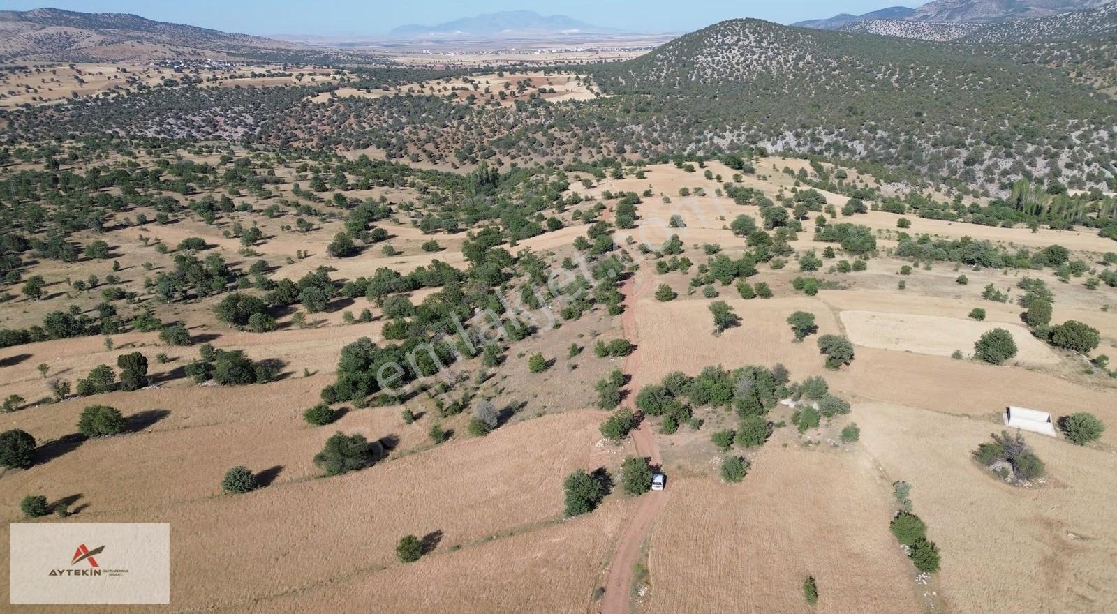 Güneysınır Kurukavak Mahallesinde 1.226 M² Müstakil Tapulu Tarla - Görsel 10