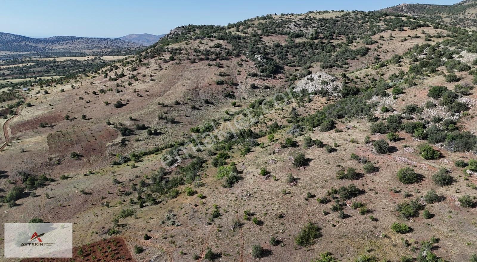 Güneysınır Gürağaç Da 1.403 M2 Müstakil Tapulu Bağ - Görsel 5