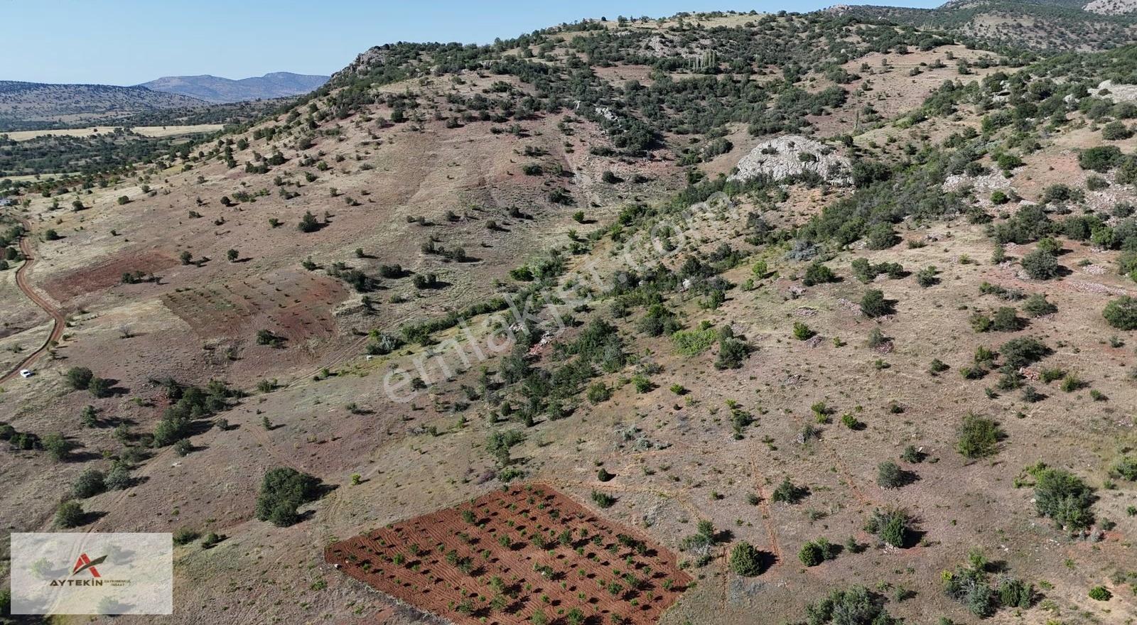 Güneysınır Gürağaç Da 1.403 M2 Müstakil Tapulu Bağ - Görsel 6