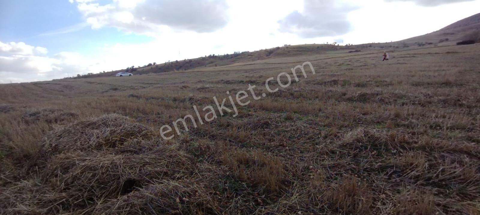 Takaslı Sahibinden Yozgat Merkezde Çalatlı Sanayi Projesi Yanı 3.103m2 Satılık Yolu Olan Tarla - Görsel 14