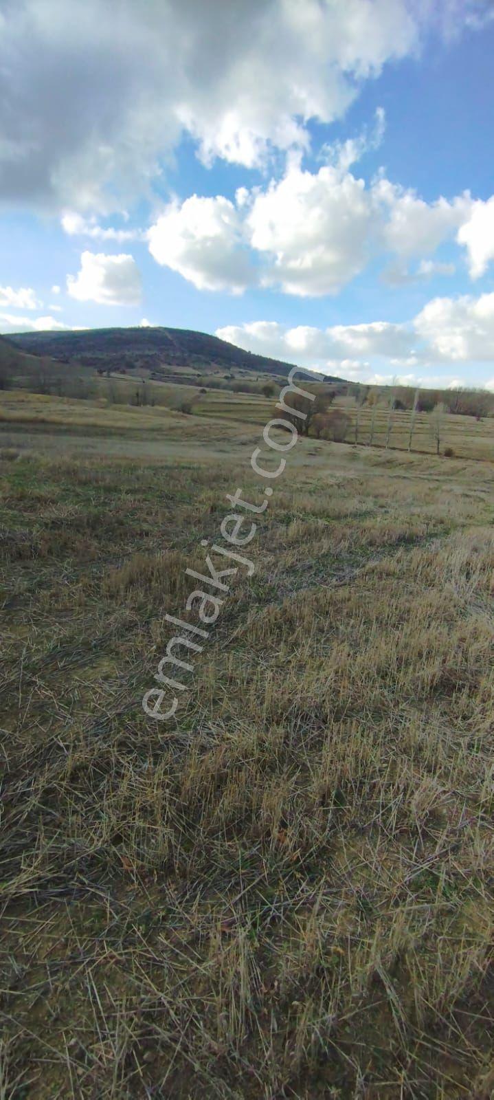 Takaslı Sahibinden Yozgat Merkezde Çalatlı Sanayi Projesi Yanı 3.103m2 Satılık Yolu Olan Tarla - Görsel 7
