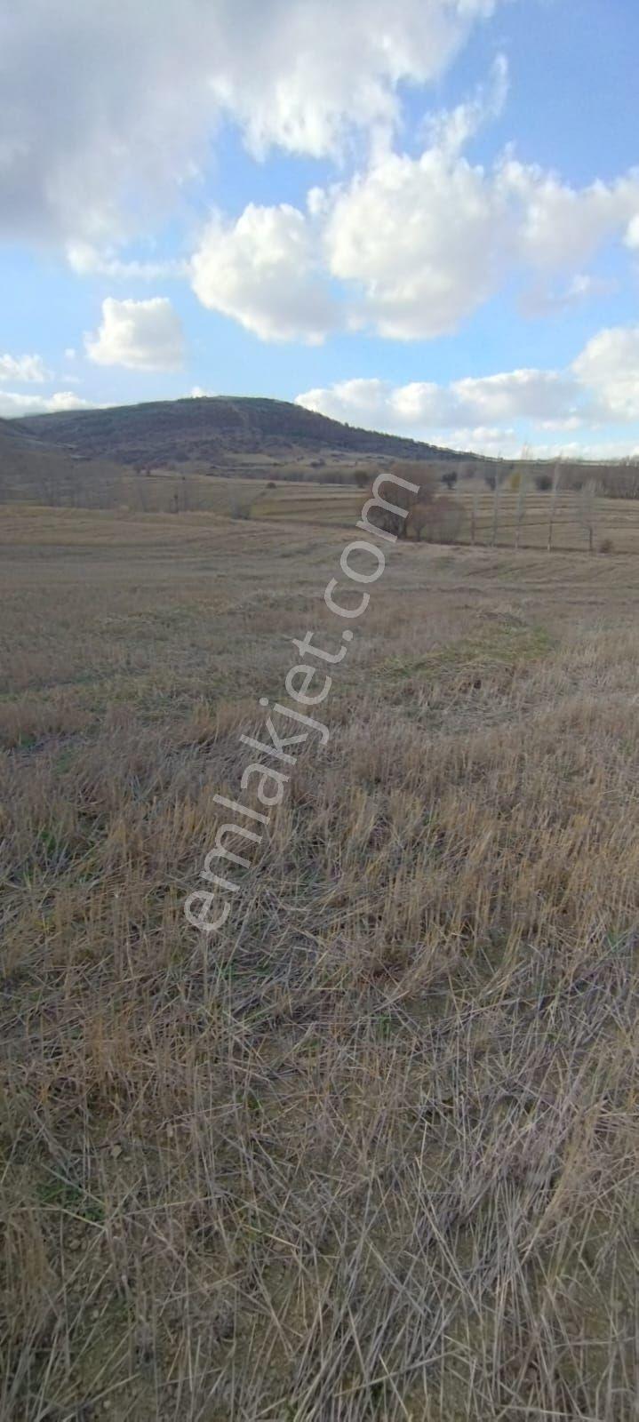 Takaslı Sahibinden Yozgat Merkezde Çalatlı Sanayi Projesi Yanı 3.103m2 Satılık Yolu Olan Tarla - Görsel 8