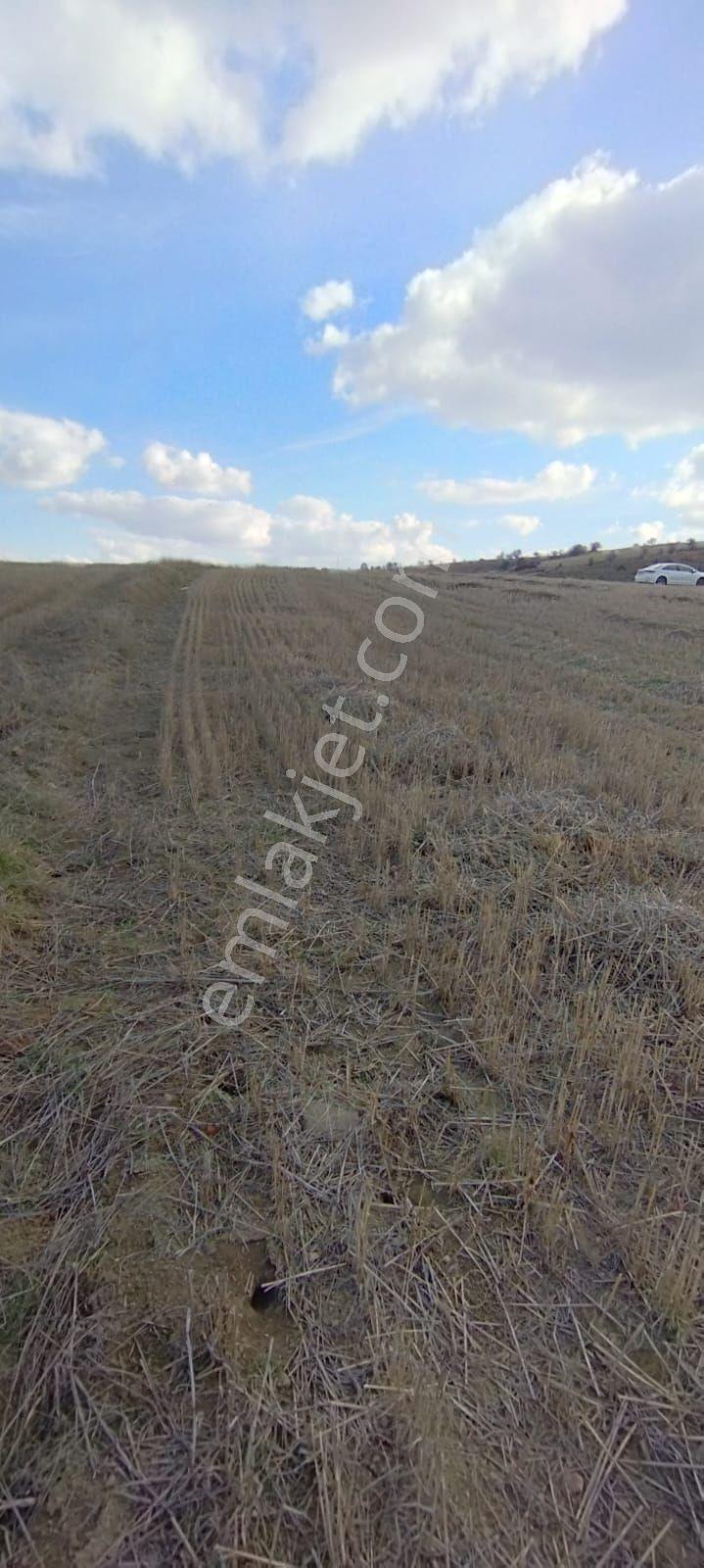 Takaslı Sahibinden Yozgat Merkezde Çalatlı Sanayi Projesi Yanı 3.103m2 Satılık Yolu Olan Tarla - Görsel 16