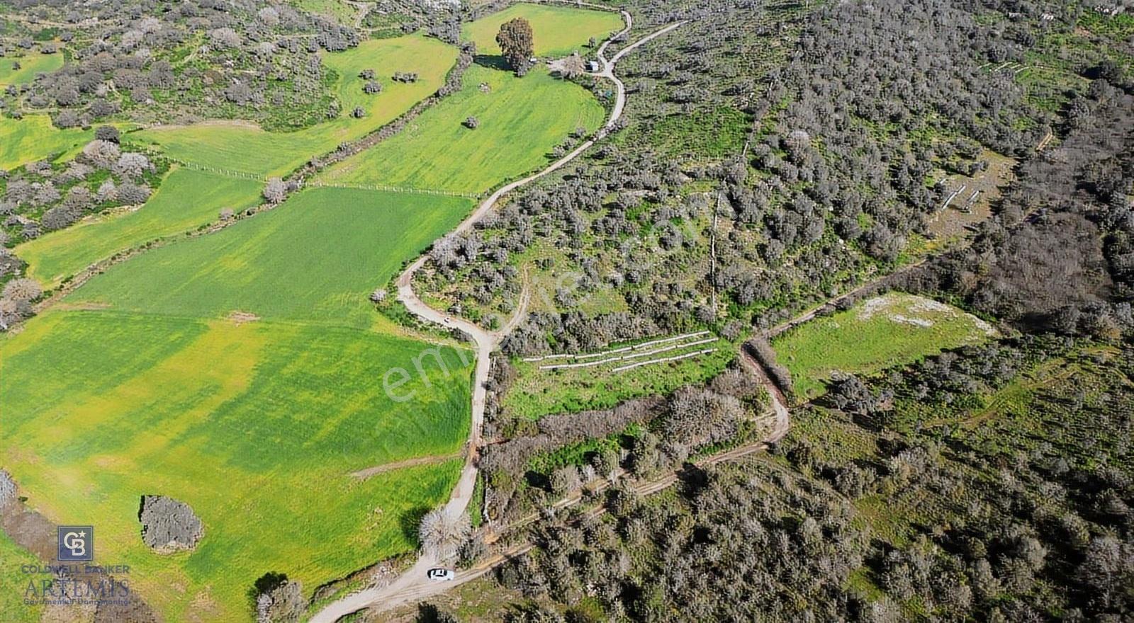 Muğla Milas Kemikler Satılık Tarla - Görsel 33