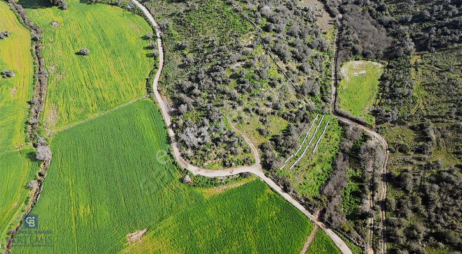 Muğla Milas Kemikler Satılık Tarla - Görsel 18