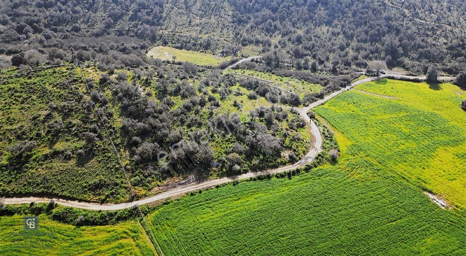 Muğla Milas Kemikler Satılık Tarla - Görsel 22