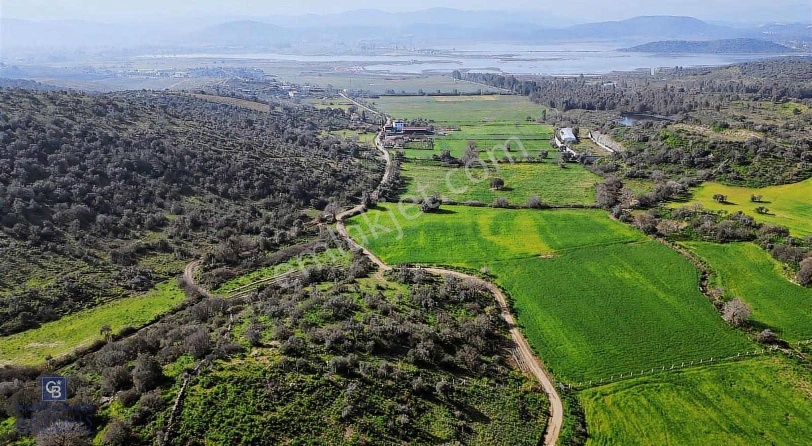 Muğla Milas Kemikler Satılık Tarla - Görsel 11