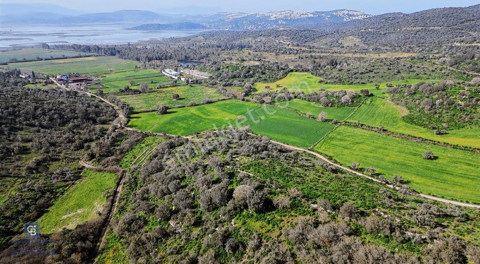 Muğla Milas Kemikler Satılık Tarla - Görsel 4
