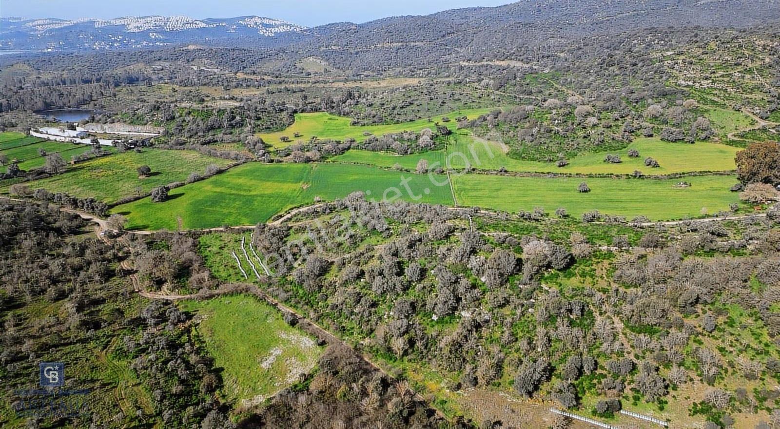 Muğla Milas Kemikler Satılık Tarla - Görsel 5