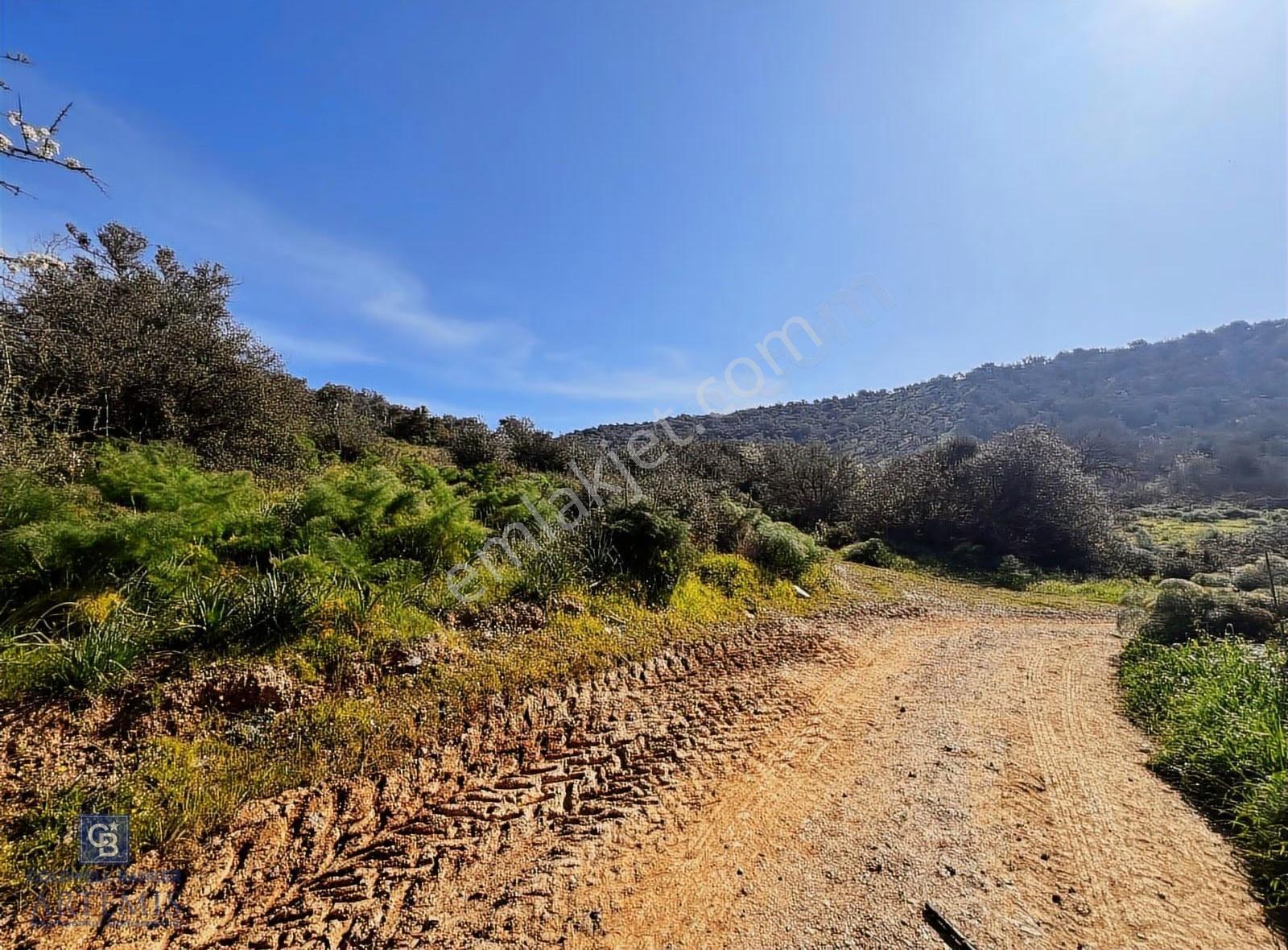 Muğla Milas Kemikler Satılık Tarla - Görsel 27