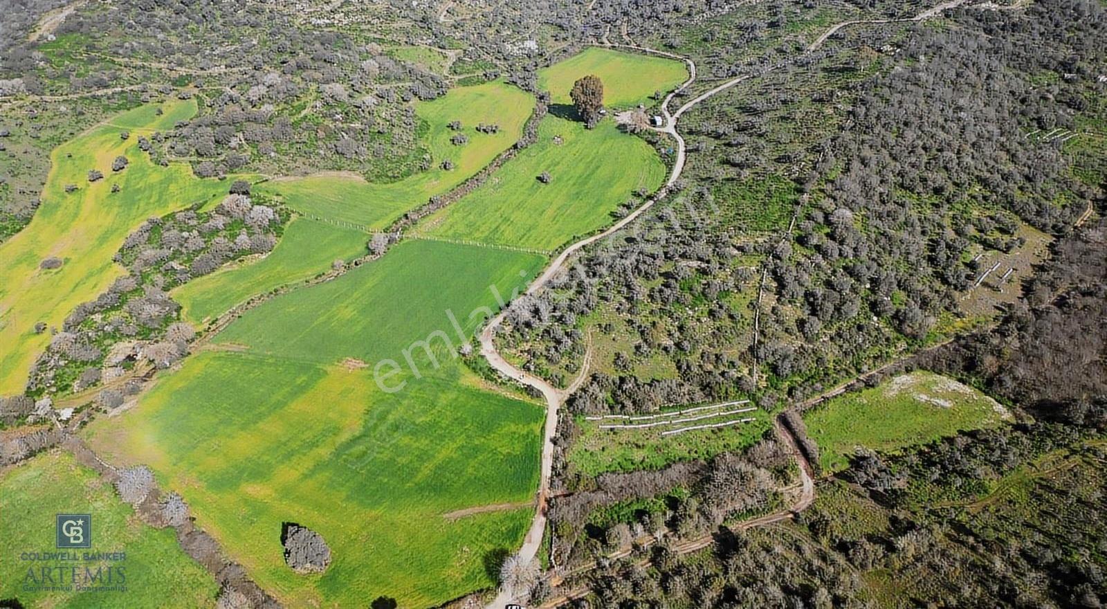 Muğla Milas Kemikler Satılık Tarla - Görsel 17