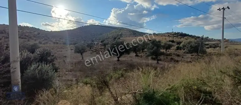Milas Havalimanı Yakını Anayol Cepheli Satılık Arazi - Görsel 5