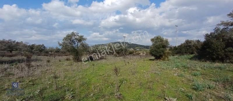 Milas Havalimanı Yakını Anayol Cepheli Satılık Arazi - Görsel 8