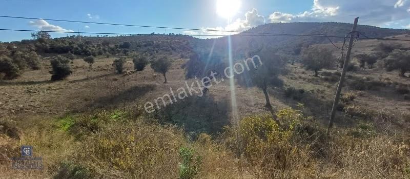 Milas Havalimanı Yakını Anayol Cepheli Satılık Arazi - Görsel 21