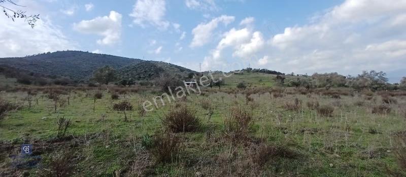 Milas Havalimanı Yakını Anayol Cepheli Satılık Arazi - Görsel 34