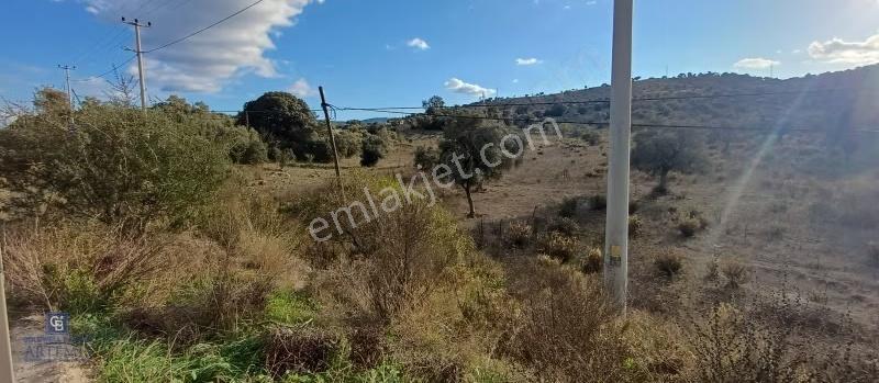 Milas Havalimanı Yakını Anayol Cepheli Satılık Arazi - Görsel 6