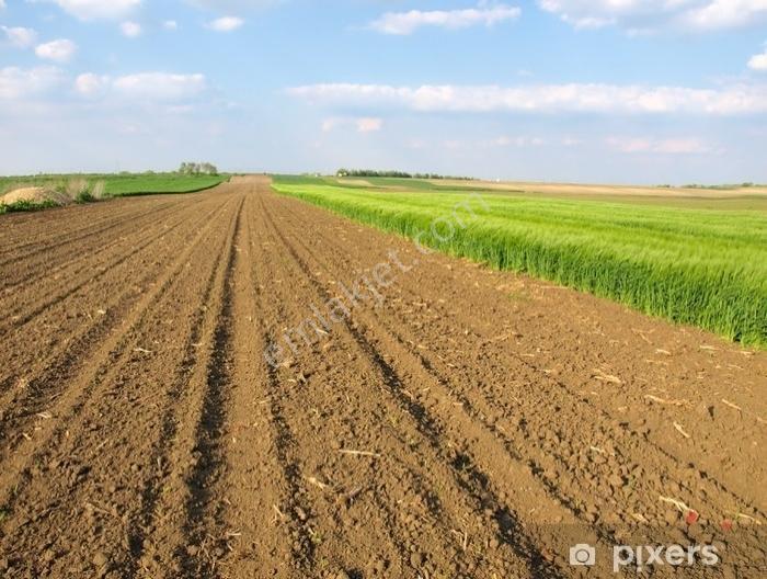 Antalya`ya35 Km Uzaklıkta 1850m2 Tarla