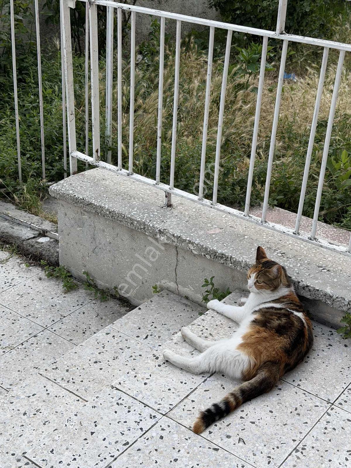 A L C Den Metroya 3 Dk Yürüme Mesafesi Salon B. 3+1 Kiralık - Görsel 26