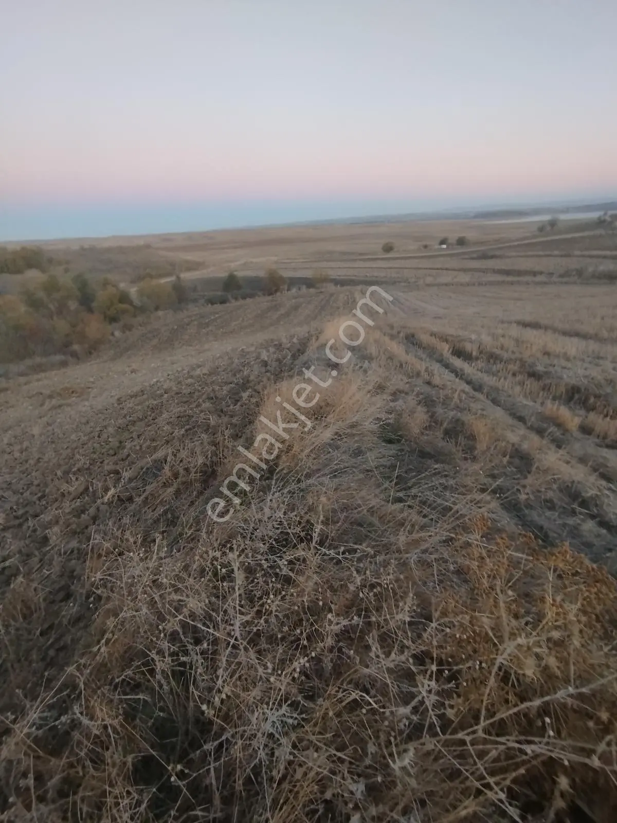 Malkara Kozyörükte Yola Cepheli 7,600 M2 Müstakil Tarla - Görsel 3