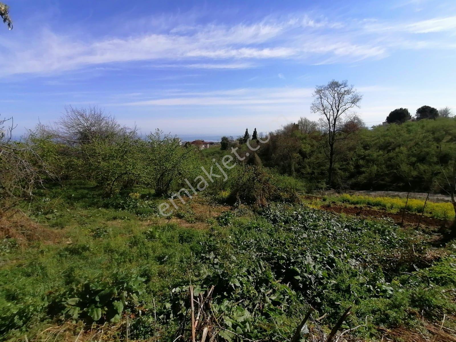 Çimenli'de Yeni Yol Projesinde,eğimi Az 1136 M2 Satılık Arazi - Görsel 18