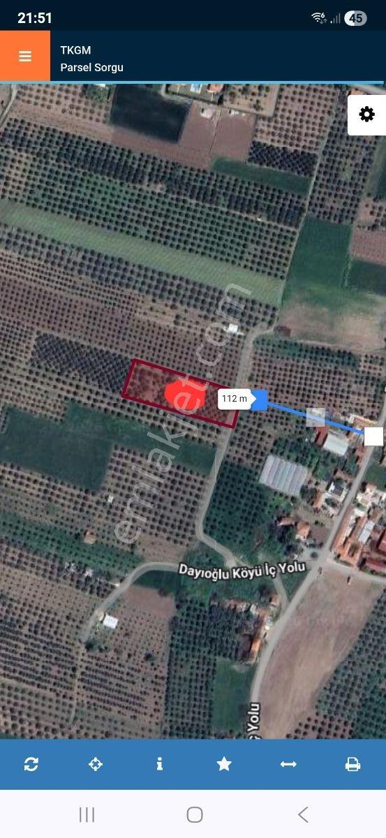 Yalçınlar Gayrimenkulden Akhisara 3km Satılık Zeytinlik - Görsel 2