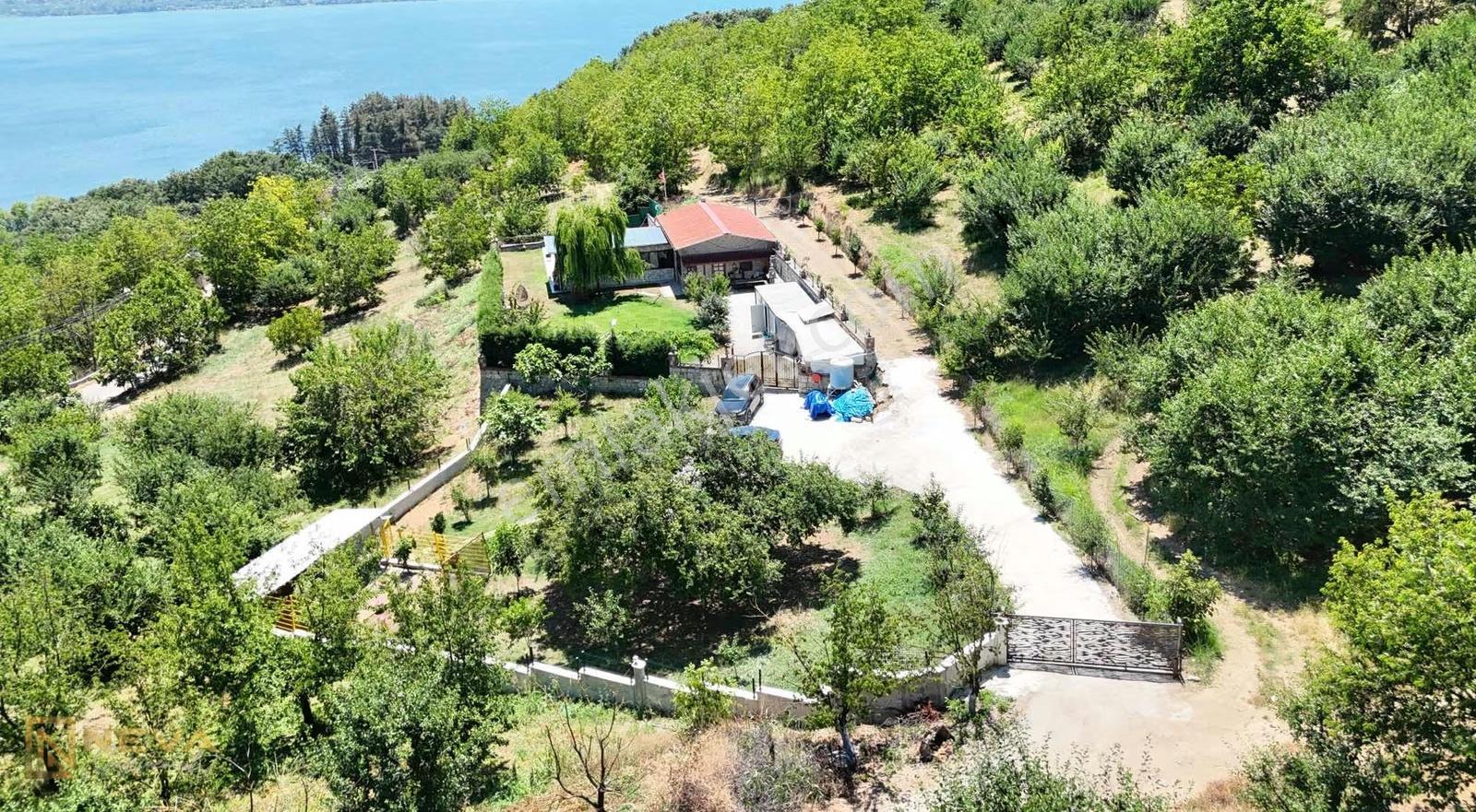 Serdivan Yukarıdereköy Mah. Göl Manzaralı 1865 M2 Meyve Bahçesi - Görsel 9