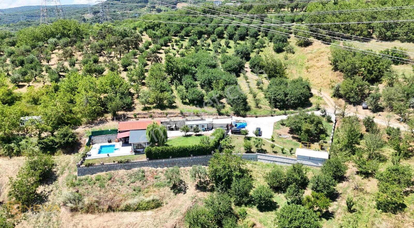 Serdivan Yukarıdereköy Mah. Göl Manzaralı 1865 M2 Meyve Bahçesi - Görsel 5