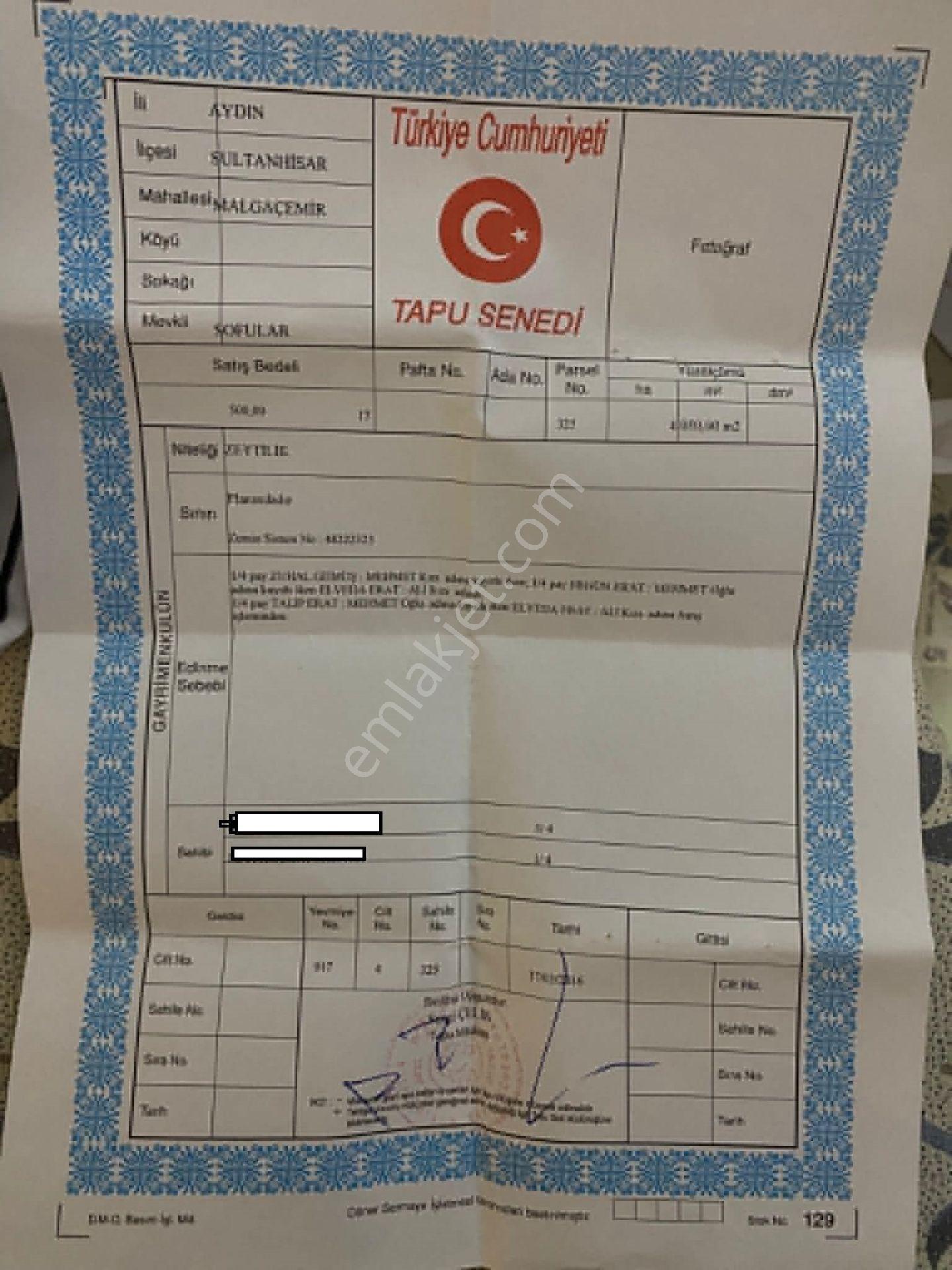 Sultanhisar Malgaç Emir Köyünde Satılık Zeytinlik - Görsel 2