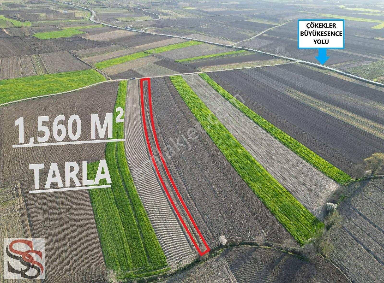 Adapazarı Çökekler Mahallesinde 1,560 M² Yatırımlık Tarla - Görsel 7