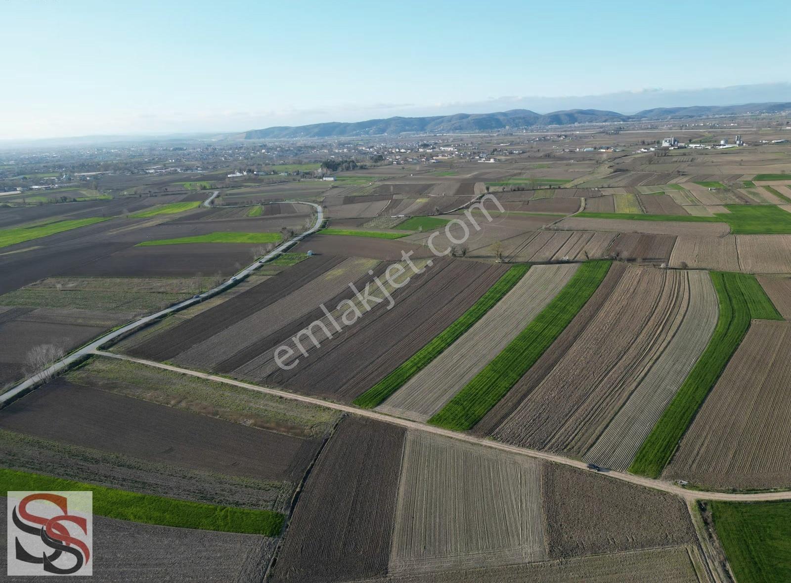 Adapazarı Çökekler Mahallesinde 1,560 M² Yatırımlık Tarla - Görsel 8