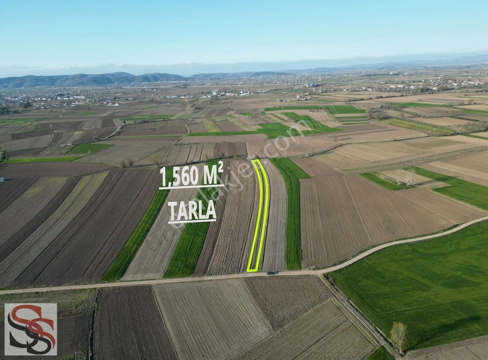 Adapazarı Çökekler Mahallesinde 1,560 M² Yatırımlık Tarla - Görsel 6