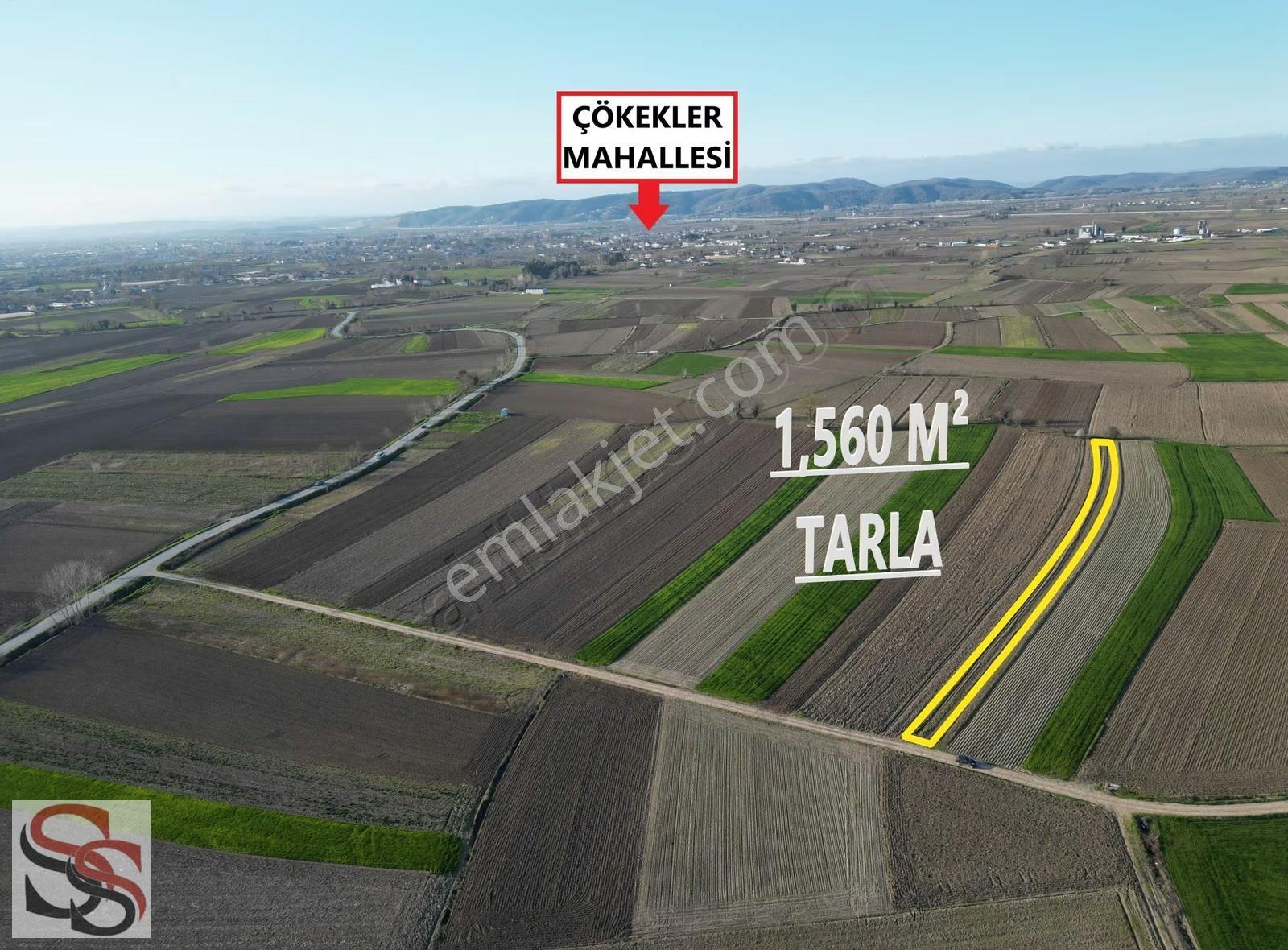 Adapazarı Çökekler Mahallesinde 1,560 M² Yatırımlık Tarla