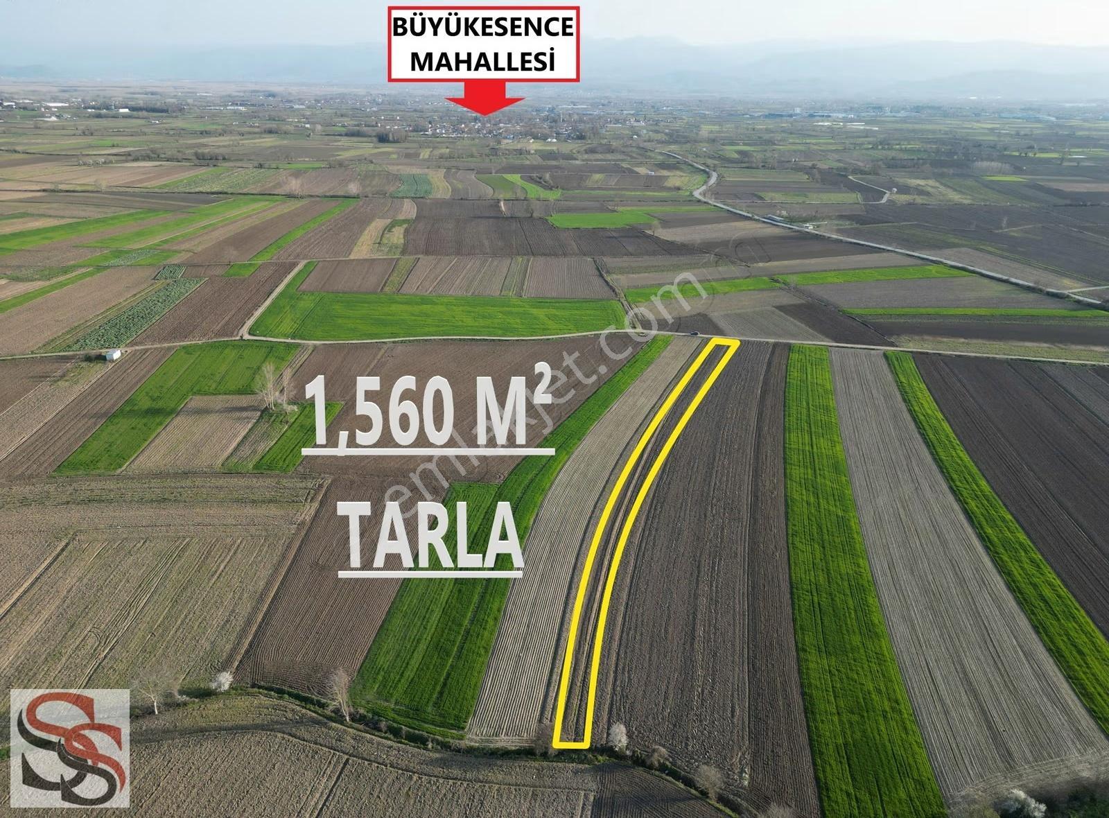 Adapazarı Çökekler Mahallesinde 1,560 M² Yatırımlık Tarla - Görsel 2