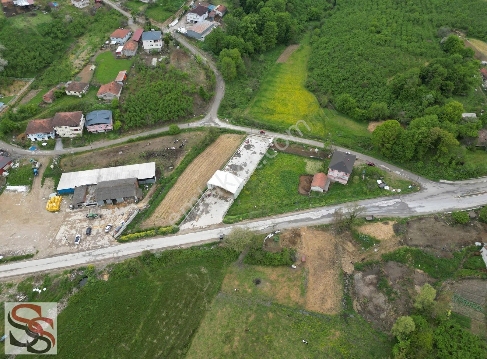 Karasu Limandere'de 1,009 M² Arsa İçi 180 M² Kapalı Alanlı Depo - Görsel 6