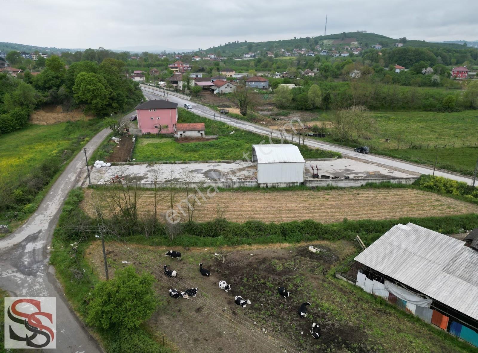 Karasu Limandere'de 1,009 M² Arsa İçi 180 M² Kapalı Alanlı Depo - Görsel 21