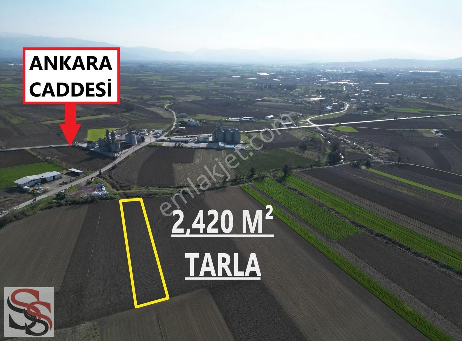 Adapazarı Hacıramazanlarda Güzel Konumda 2420m² Yatırımlık Tarla - Görsel 4