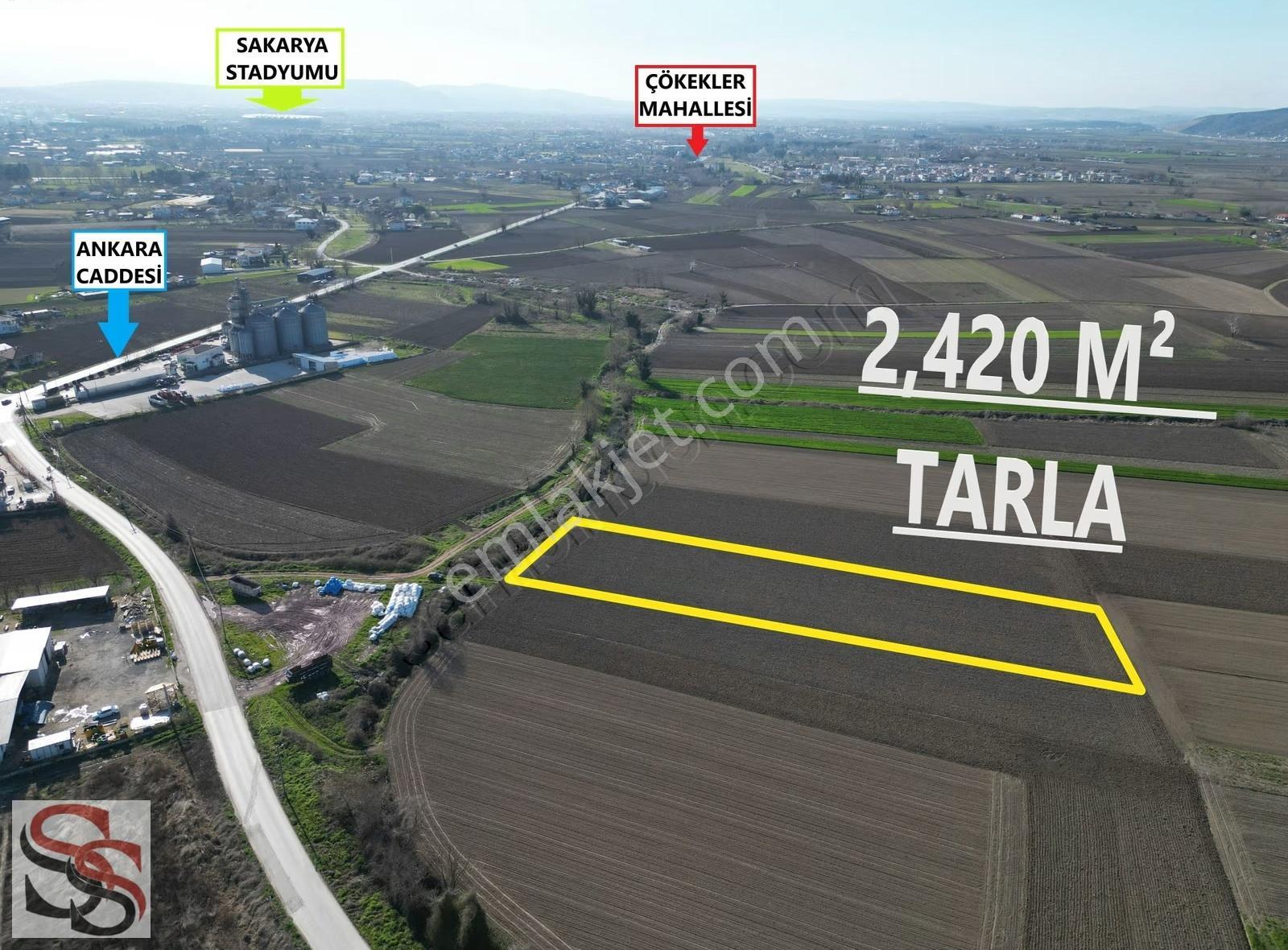 Adapazarı Hacıramazanlarda Güzel Konumda 2420m² Yatırımlık Tarla - Görsel 16
