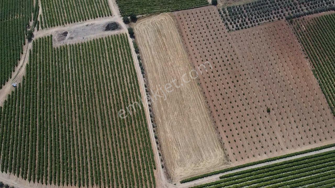 Manisa Alaşehir Alper Gayrimenkulden İsmetiye Mah.müstakil Tapu Köşe 8650 M2 - Görsel 18