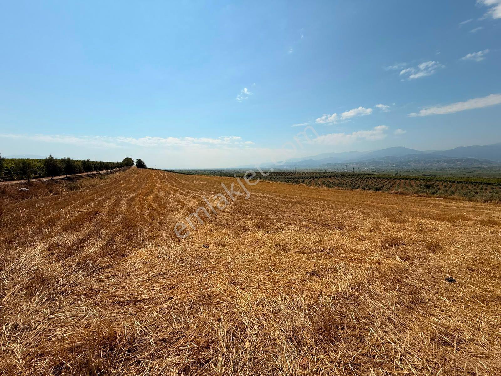 Manisa Alaşehir Alper Gayrimenkulden İsmetiye Mah.müstakil Tapu Köşe 8650 M2 - Görsel 3