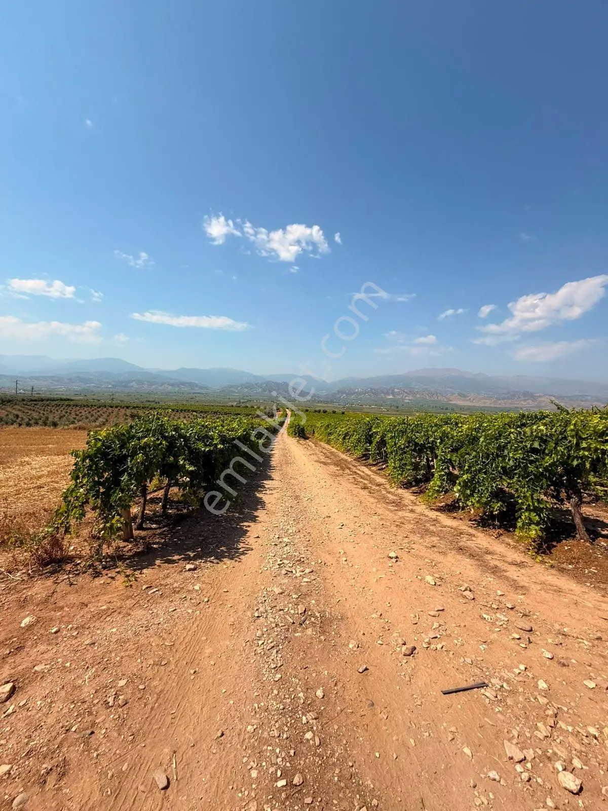 Manisa Alaşehir Alper Gayrimenkulden İsmetiye Mah.müstakil Tapu Köşe 8650 M2 - Görsel 5