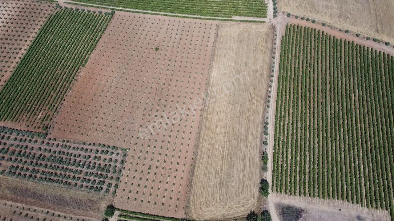 Manisa Alaşehir Alper Gayrimenkulden İsmetiye Mah.müstakil Tapu Köşe 8650 M2 - Görsel 12