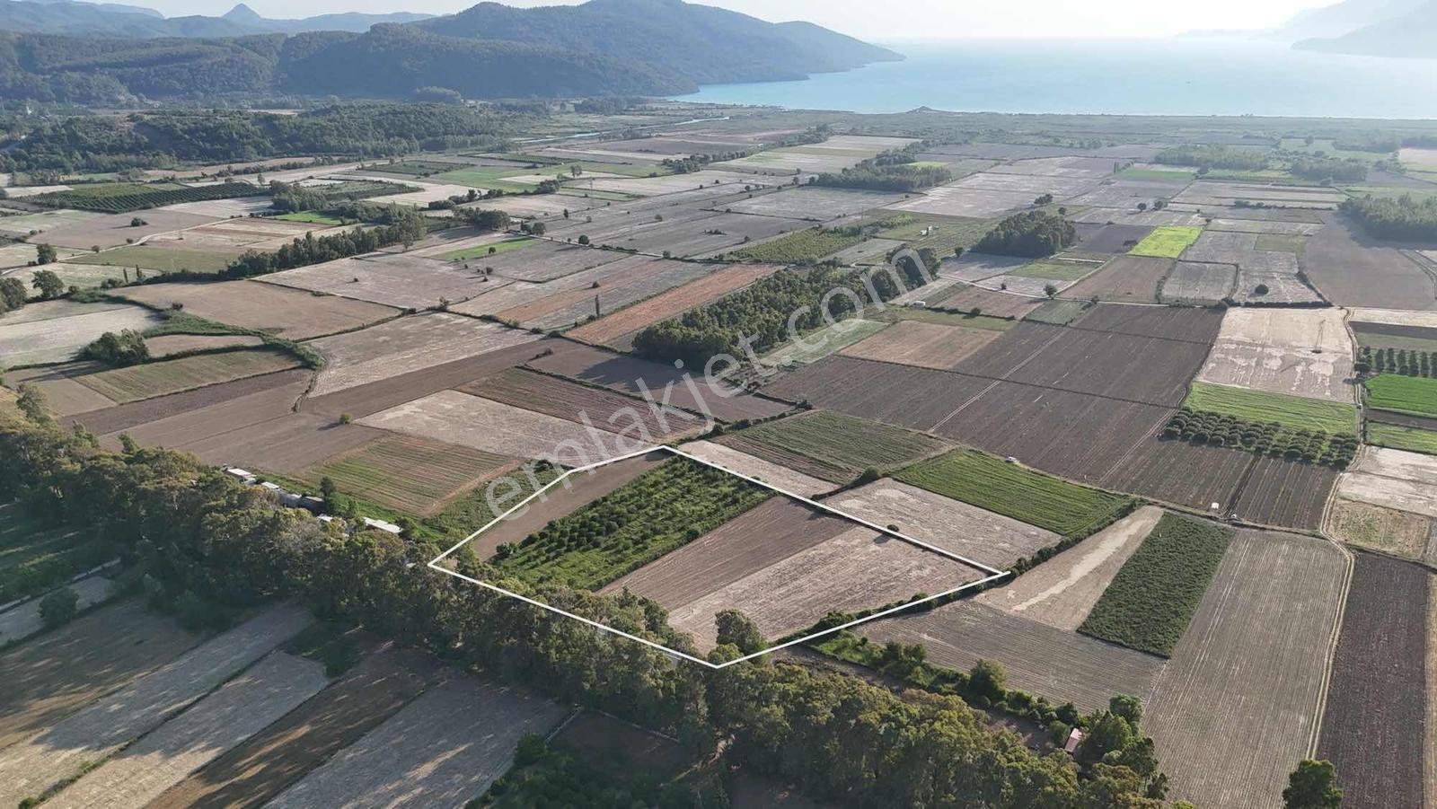 Dünyanın En Güzel Kavşağının Yanında 4.283 M2 Anayola Sıfır - Görsel 9