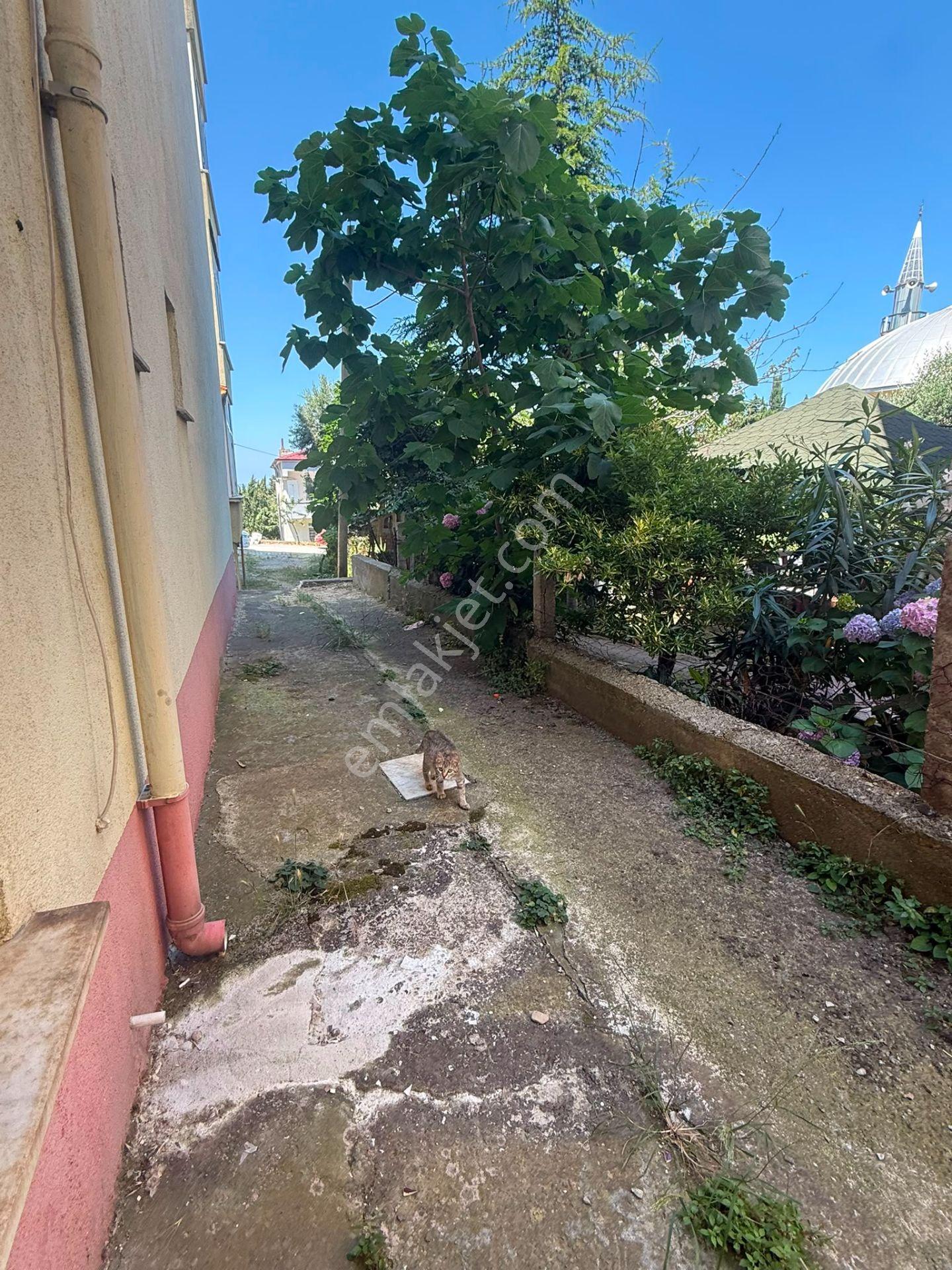 Sinop Ada Mahallesi Kiralık 2+1 Daire - Görsel 11
