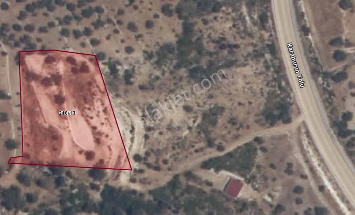 Mordoğan'ın En Güzel Yerinde 4.315 M2 Deniz Manzaralı Zeytinlik - Görsel 6
